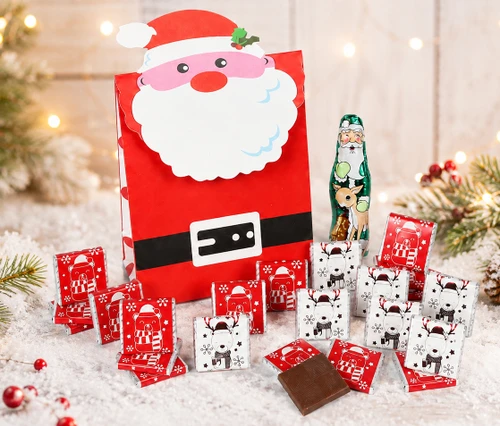 8041 Dairy Free & Vegan Advent Gift Bag - 24 Dark Chocolates Pieces