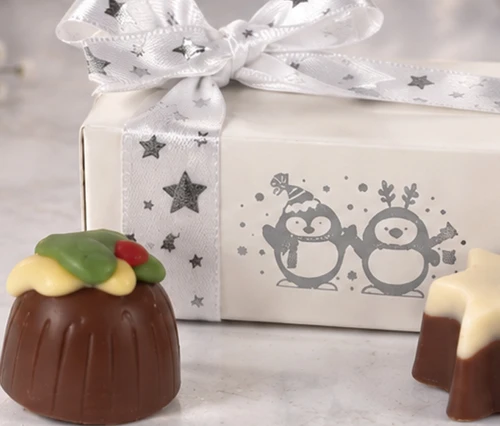 Silver Merry Christmas 2 Chocolate Gift Box with Penguin Print