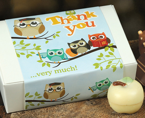 7922 Thank You Owl Box - 6 Luxury Chocolates Make An Ideal Thankyou Gift