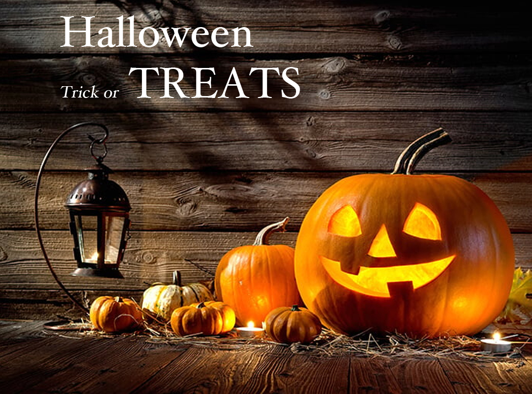 Halloween Sweet. Trick or Treat Chocolate