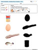 Visual Discrimination - Matching Pictures to Shadows - Protein (Lv. 2A) 