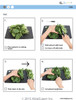 Cooking Skills - How to Cut Spinach