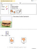 Chocolate Cookie Frosting Sandwich Visual Recipe & Comprehension Sheets: 17 Pages