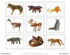 I SEE... Matching Identical Pictures - Animals - Adapted Book Level 1 - 25 PAGES