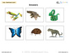 I SEE Rainforest Animals Habitat Adapted Books:  3 Levels: Matching, Guided Printing, Printing: 84 Pages