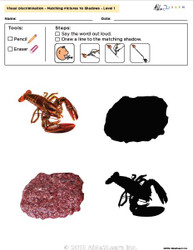 Visual Discrimination - Matching Pictures to Shadows - Protein Food (Lv. 1) 