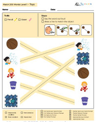 Toys Identical Picture  Matching Program with ABLLS-R™ Words (Lv. 1) 