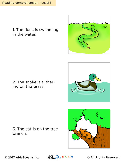 Readingfree Reading Comprehension Workbook Matching Simple