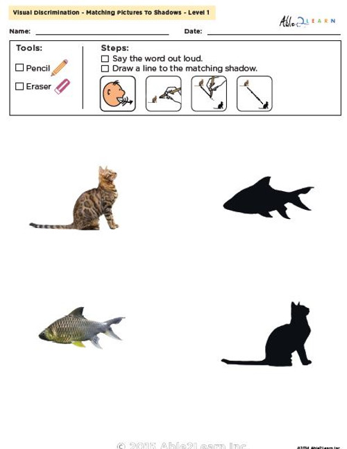 Visual Discrimination - Matching Pictures to Shadows - Dairy (Lv. 2A) 