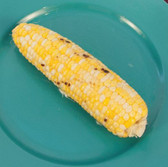 Grilled Corn Visual  Recipe And Comprehension Sheets: Pages 22