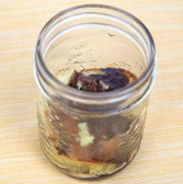 Chocolate Pound Cake in a Jar Visual Recipe & Comprehension Sheets: (Lv. 1) 16 Pages