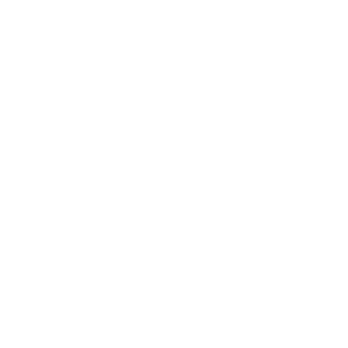 NY Times Logo