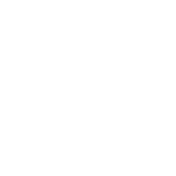 MSN Logo