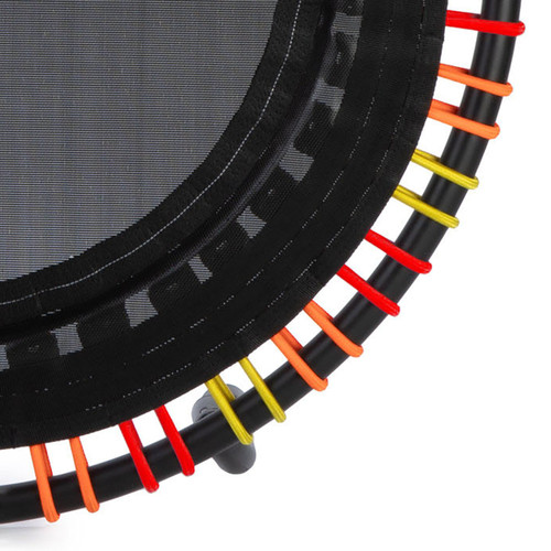 EnduroLast Cords (Set of 36) | Multi-Color | 39" or 44"