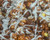 Pumpkin Spice Popcorn