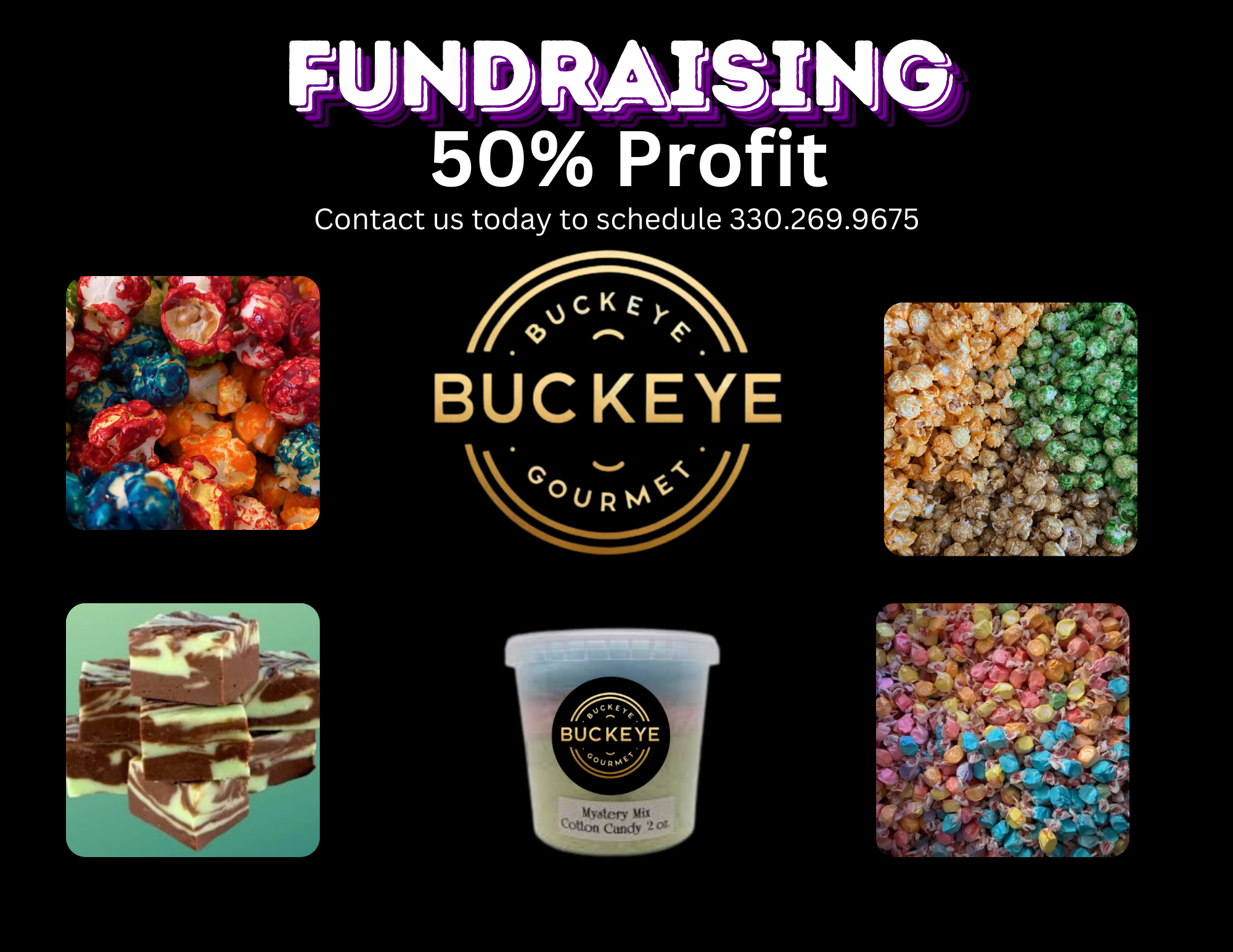 fundraising-11-x-8.5-in-.png