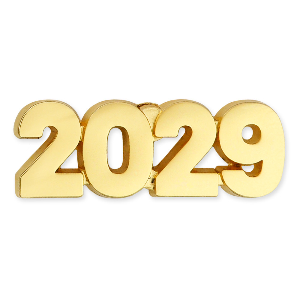 2029 Year Lapel Pin | PinMart