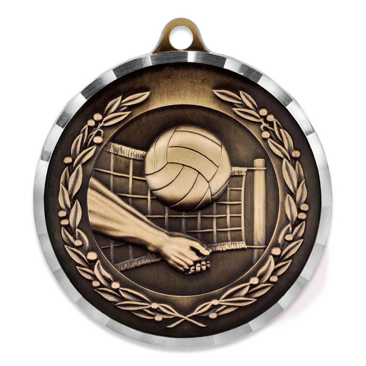 Volleyball Medal Award, School Team Sports, 2, full color, w/ engraving,  ribbon