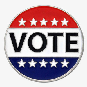 Vote Lapel Pin