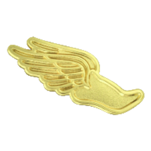 Rush Pins