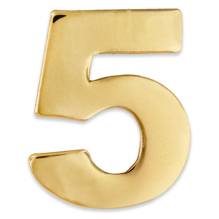5 pin gold and silver front view