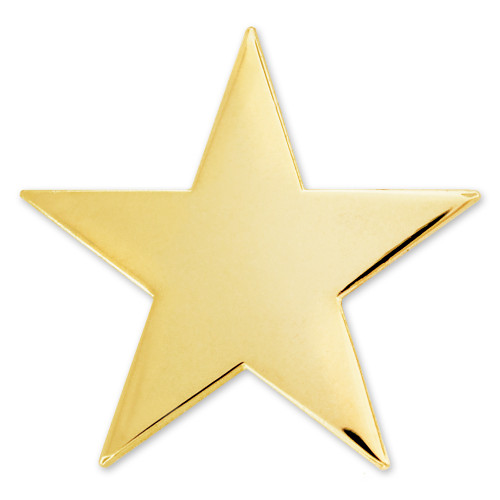 Gold Star Pin Magnetic Back