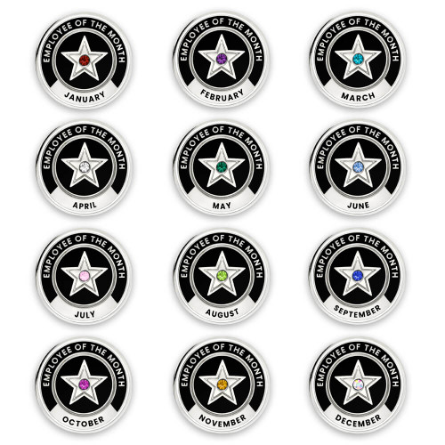 12-Pin Set, round pins, silver color, month's colored rhinestone on each pin, black enamel filled with each month and employee of the month written on the pins - pin set Employee of the Month 12-Pin Set