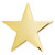 Gold Star Pin with Magnetic Back Front