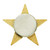 Gold Star Pin with Magnetic Back