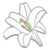 Lily Flower Pin Front