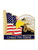 Flag Eagle Pin