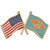 Delaware and USA Crossed Flag Pin Front