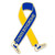 Down Syndrome Walk Ribbon Pin Front