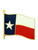 Texas State Flag Pin Front
