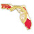 Florida Pin Front