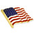 Waving American Flag Gold Pin