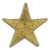 Applique - Gold Star Single