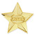 2025 Gold Star Pin Front