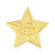 2026 Gold Star Pin Front