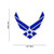 Officially Licensed U.S. Air Force Wing Pin Size Reference