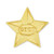 2027 Gold Star Pin Front