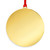 Gold plated back photo of U.S. Army Veteran Ornament showing string through top. No engraving