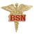 BSN Caduceus Lapel Pin Front