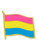 Pansexual Pride Flag Pin Front