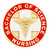 Bachelor of Science Nursing Pin Front