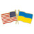 USA and Ukraine Flag Pin Front