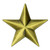 3D Star Pin Bronze Front