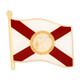 Florida State Flag Pin Front