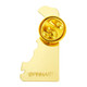 Delaware State Shape Pin Back