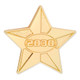 2030 Gold Star Pin Front View